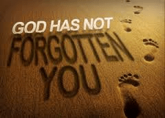 God has not forgotten you