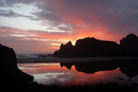 divine-vision-1404671