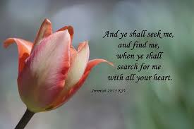 Seek him