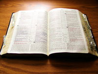 bread-of-life-1542788