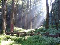 ray-of-light-1379524